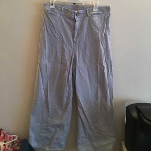 Everlane Wide Leg Light Blue Pants